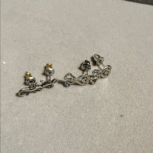 Elegant Silver  Earrings